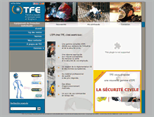 Tablet Screenshot of epi.e-grouptfe.com